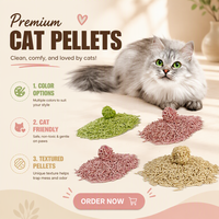 Litière pour chat en tofu biodégradable et jetable en gros, OEM, marque personnalisée, fabricant pour importateurs de produits pour animaux de compagnie, détaillants, marques mondiales