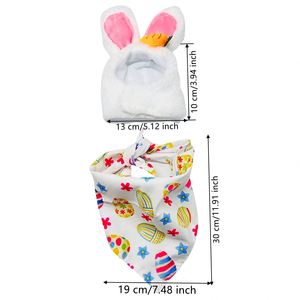 Directo de Fábrica OEM/ODM, Personalizado, Superventas, Precio de Fábrica, Conjunto de Disfraz de Ganso para Adolescentes para Pascua y Graduación, Poliéster - Product Image 3