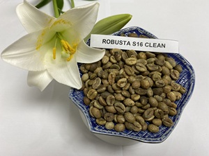 Café Vert Robusta PHALCO de Haute Qualité Grade 1 Tamis 16/18 Vietnam Meilleur Prix Prêt à l'Exportation en Sac de Jute - Product Image 4