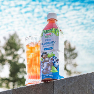 Fournisseur chaud NAWON Vietnam 100% boisson au jus de fruits bouteille PET de 500ML échantillon gratuit produit OEM ODM boisson gazeuse de meilleure qualité - Product Image 3