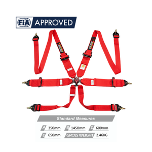 Ceinture de sécurité de course TBRACING SPORT à 6 points homologuée FIA avec ceinture de hanche de 3 pouces et service OEM ODM pour agents de marque, vente en gros - Product Image 3