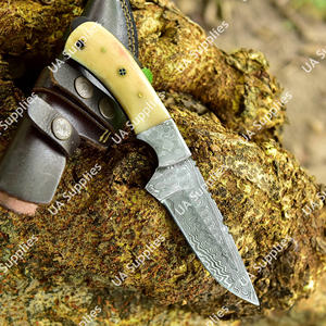 Cuchillo de Acero de Damasco Forjado a Mano de Primera Calidad, Hoja Fija, Profesional, para Caza, Camping, Supervivencia, Bricolaje, Multifuncional, OEM - Product Image 2