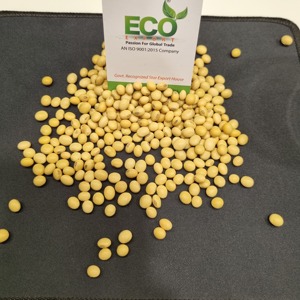 Soja jaune séché indien en vrac, fermenté, qualité alimentaire humaine - Product Image 3