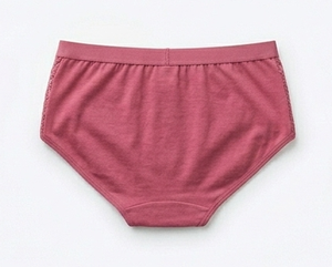 Women’s Brief <b>Underwear</b> – Everyday Wear, Clean Design, Regular Style - Product Image 2