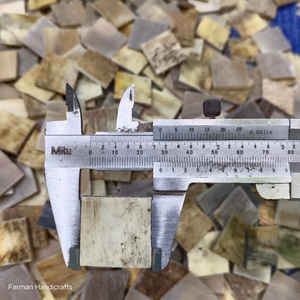 Corne de bœuf blanche naturelle d'Afrique du Sud, pièce décorative artisanale moderne et écologique de forme naturelle, qualité supérieure, au meilleur prix - Product Image 5