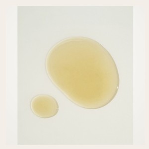 Soins de la peau coréens KAINE K-Beauty Kombu Balancing Ampoule Toner, ensemble de 2 pièces, fabriqué en Corée, produits éclaircissants unisexes - Product Image 6
