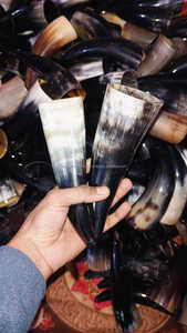 SANIYA HANDICRAFT Cuerno para beber pulido Pequeño negro Agua blanca Búfalo vikingo Aproximadamente 5 a 8 pulgadas de longitud 2 pulgadas de ancho Boca - Product Image 5