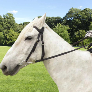 Wholesale Customizable Nylon English Saddle Horse <b>Halters</b> Various Sizes with Pewter Buckles and PP PVC Rope Bridle Accessory - Product Image 5