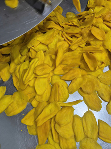 Vietnam Dried Mango Soft <b>Chewy</b> Slices Wholesale Supplier OEM Private Label - Product Image 6