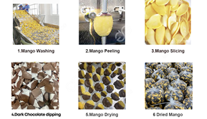 Chocolate Covered Dried Mango Slices <b>Sweet</b> Tropical Fruit Snack 100% Organic Vietnam Vacuum Packed - Product Image 6