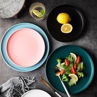 Services de vaisselle en porcelaine céramique, cinq couleurs, design minimaliste, finition lisse et brillante sous l'élément, compatibles micro-ondes et congélateur