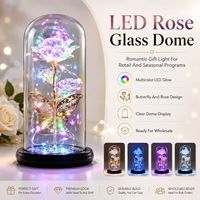 Rose éternelle sous cloche en verre LED, papillon décoratif, lumière florale LED, rose irisée, cadeau