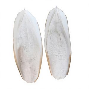 ECONÓMICO: Hueso de Sepia Seco y Recortado Mo Yu Gu Limpio para Alimentación Animal - Product Image 1