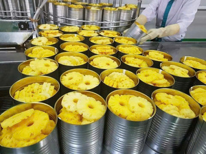 Tranches d'ananas en conserve en emballage en vrac |   Ananas tropical frais et sucré pour l'industrie alimentaire - Product Image 3