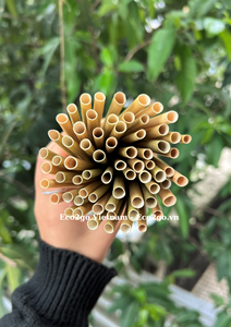 Pajitas de hierba natural para beber, tallos huecos para jugo, café, cócteles, suministros para bares, Eco2go Vietnam - Product Image 6