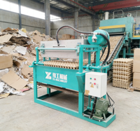 Fruitverpakkingsmachine van papierpulp voor appel- en mangoverpakkingen