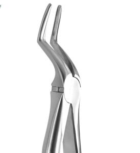 Dental Extraction Forceps Stainless Steel Best Price With Customized Size Dental Extracting Forceps By <b>Blush</b> Surgical - Product Image 6