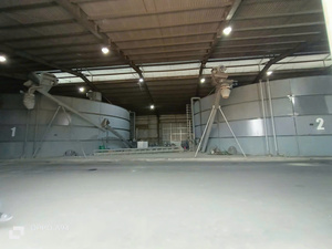 Bac de stockage silo à grains en acier galvanisé de la meilleure qualité avec contrôle de l'humidité et capteur de niveau - Product Image 5