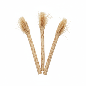 Bâtonnets de Miswak Naturels en Gros pour les Entreprises de Soins Bucco-Dentaires – Produit Traditionnel de Nettoyage des Dents pour la Vente au Détail et l'Approvisionnement Commercial - Product Image 6