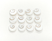 Cabochons en coquille d'œil de Shiva de qualité supérieure, taille brillante, pierre précieuse naturelle, 10 mm, cristal de guérison, 5 pièces, trou de 0,40 mm, pour la fabrication de bijoux