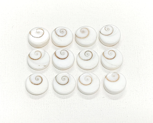 Cabochons en coquille d'œil de Shiva de qualité AAA, forme ronde, pierres précieuses naturelles, 10 mm, pierres précieuses en coquille de cristal de guérison pour la fabrication de bijoux - Product Image 4