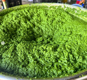 Meilleur prix pour les feuilles de manioc congelées, commande en gros directement de l'usine au Vietnam - Product Image 1