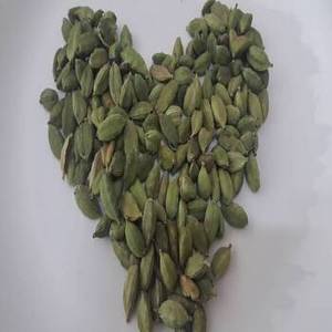 Cardamomo Verde de la India de Nueva Temporada en Cápsulas Enteras para Fabricantes Internacionales de Alimentos, Comerciantes de Especias y Proveedores de Ingredientes a Granel - Product Image 3