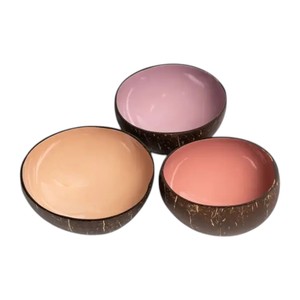 Bol en coquille de noix de coco naturelle polie et laquée, écologique, fait main, moderne, décoratif, pour servir des fruits et des salades, biologique, végétalien - Product Image 2