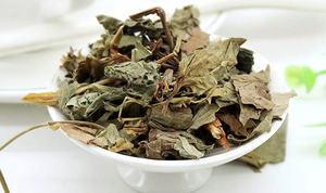 Feuilles de menthe séchées par congélation du Vietnam, qualité supérieure pour la production de thé, ingrédients alimentaires et approvisionnement à l'exportation - Product Image 1