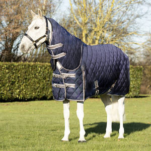Couvertures d'hiver de luxe pour chevaux de qualité supérieure, imperméables et respirantes, à prix avantageux - Product Image 1