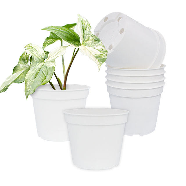 Low-maintenance Resin Flower Planters Spa Relaxation Garden Yoga Studio Green Space Retirement Village Garden Club L-002-1
