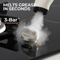 Nettoyeur vapeur multi-usages, machine de nettoyage à vapeur haute performance, nettoyeur vapeur portable pour sols, fenêtres, carrelages et joints