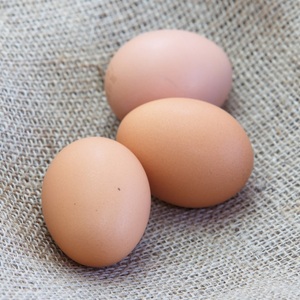 Huevos Frescos de Gallina de Granja, Cuidadosamente Seleccionados, Empacados en Cajas Seguras para Importación a Granel Según la Demanda del Comprador - Product Image 4