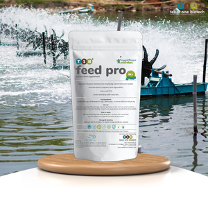 Le meilleur aliment probiotique pour crevettes améliore la santé intestinale avec une application quotidienne - Product Image 1