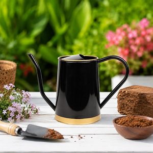 Arrosoir en métal pour usage intérieur et extérieur, arrosoir de jardin à long bec, pot d'arrosage décoratif pour plantes, pour la maison et le jardin - Product Image 1