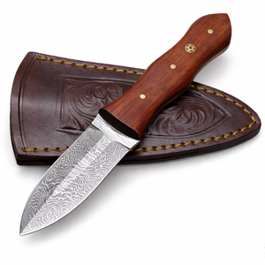 มีดแกะหอยนางรมพร้อมปลอก ยี่ห้อ SAZ ENTERPRISES อุปกรณ์เปิดอาหารทะเล อุปกรณ์ครัวสำหรับเปลือกหอย ใช้กับเครื่องล้างจาน เตาอบ และไมโครเวฟได้ - Product Image 1