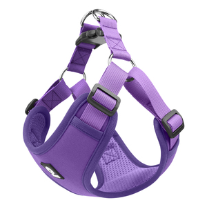 Harnais de dressage de chien de luxe personnalisé et solide à motif réglable personnalisé Harnais pour animaux de compagnie sans traction - Product Image 6