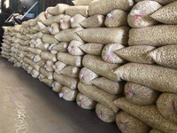 Vietnamese Cashewnoten W320 - Bestseller Biologische Rauwe Cashewnoten Bulk Gedroogd Topkwaliteit 12-24 Maanden Houdbaarheid