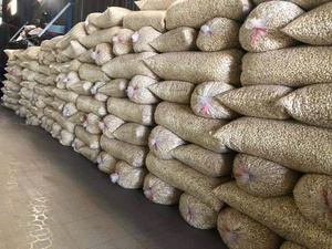 Vietnam Origin Cashew <b>Nuts</b> W320 - Best Seller Organic Raw Cashew <b>Nuts</b> Bulk Dried Top Grade 12-24 Months Shelf Life - Product Image 2