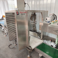 Máquina de Llenado y Empaquetado de Bolsas Semiautomática de Alta Precisión de 10 kg, 25 kg y 50 kg para Alimentos en Polvo a Granel