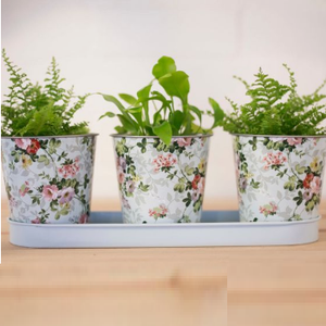 Ensemble de deux pots de fleurs en zinc de taille moyenne pour jardin et balcon, seau en zinc métallique personnalisé - Product Image 6