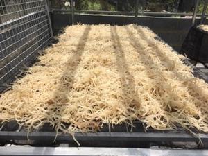 มอสทะเลคุณภาพสูง/มอสทะเลแห้งไม่มีเกลือจากเวียดนาม/มิลส์เจสซี่ - Product Image 2