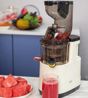110-240V Automatische Sapcentrifuge Thuis Slakkenseparatie Gember Fruit Groente Sapcentrifuge Commerciële Fruit Slow Juicer