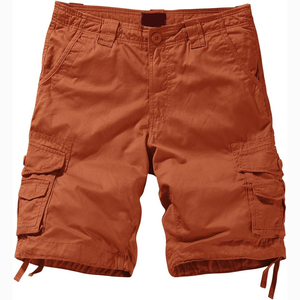 Pantalones cortos cargo para hombre, diseño de última llegada, material suave, precio al por mayor, antiarrugas, pantalones cortos cargo para hombre de gran demanda. - Product Image 1