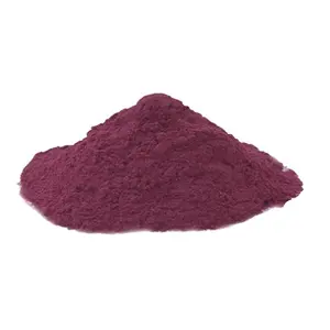 Low Price Dehydrates Onion Powder Dried Organic Red Onion Extract Powder Food Grade Vegetable Powder Wholesaler