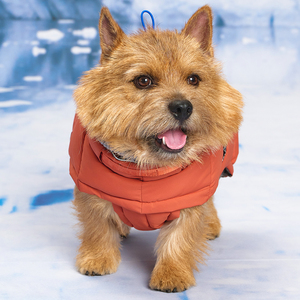 [MUNIKUND] Thermal Up Padding Air 2 Premium Dog Winter Coat Eco Friendly Vegan Down Waterproof <b>Jacket</b> - Product Image 3