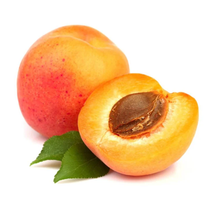 Aceite de Albaricoque |   Proveedor Mayorista de Aceites Portadores Premium, Fabricante de Marca Privada OEM - Product Image 5