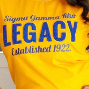 Camiseta de chenilla SGRho Legacy para mujer, con letras griegas bordadas personalizadas, cuello redondo, estilo clásico de hermandad, moda al por mayor - Product Image 4