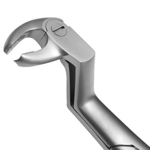 Pinzas de Extracción Dental Manuales Reutilizables, Patrón Inglés, para Molares Inferiores Derechos, de Acero, por Blush Surgical - Product Image 4