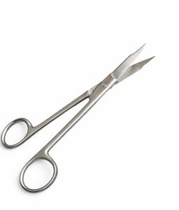 Ciseaux professionnels pour ongles des doigts et des orteils, ciseaux courbés en acier pour manucure, pour la coupe des cuticules et des ongles, précision en acier inoxydable - Product Image 1